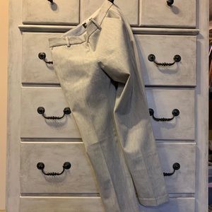 EXPRESS NWOT Columnist pant